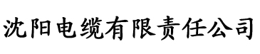 欧美日韩永久久一区二区三区电缆厂logo